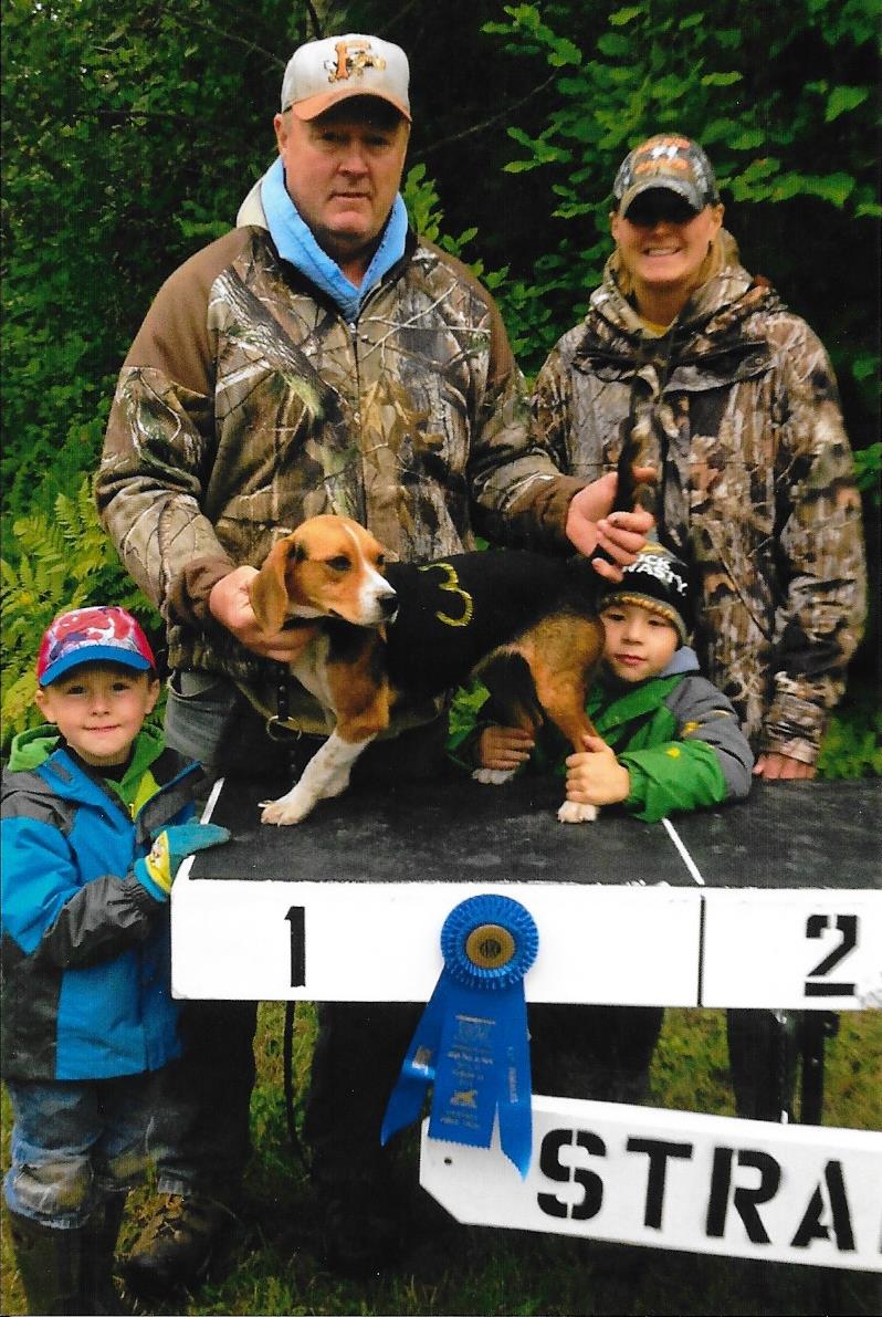 Beagles 
