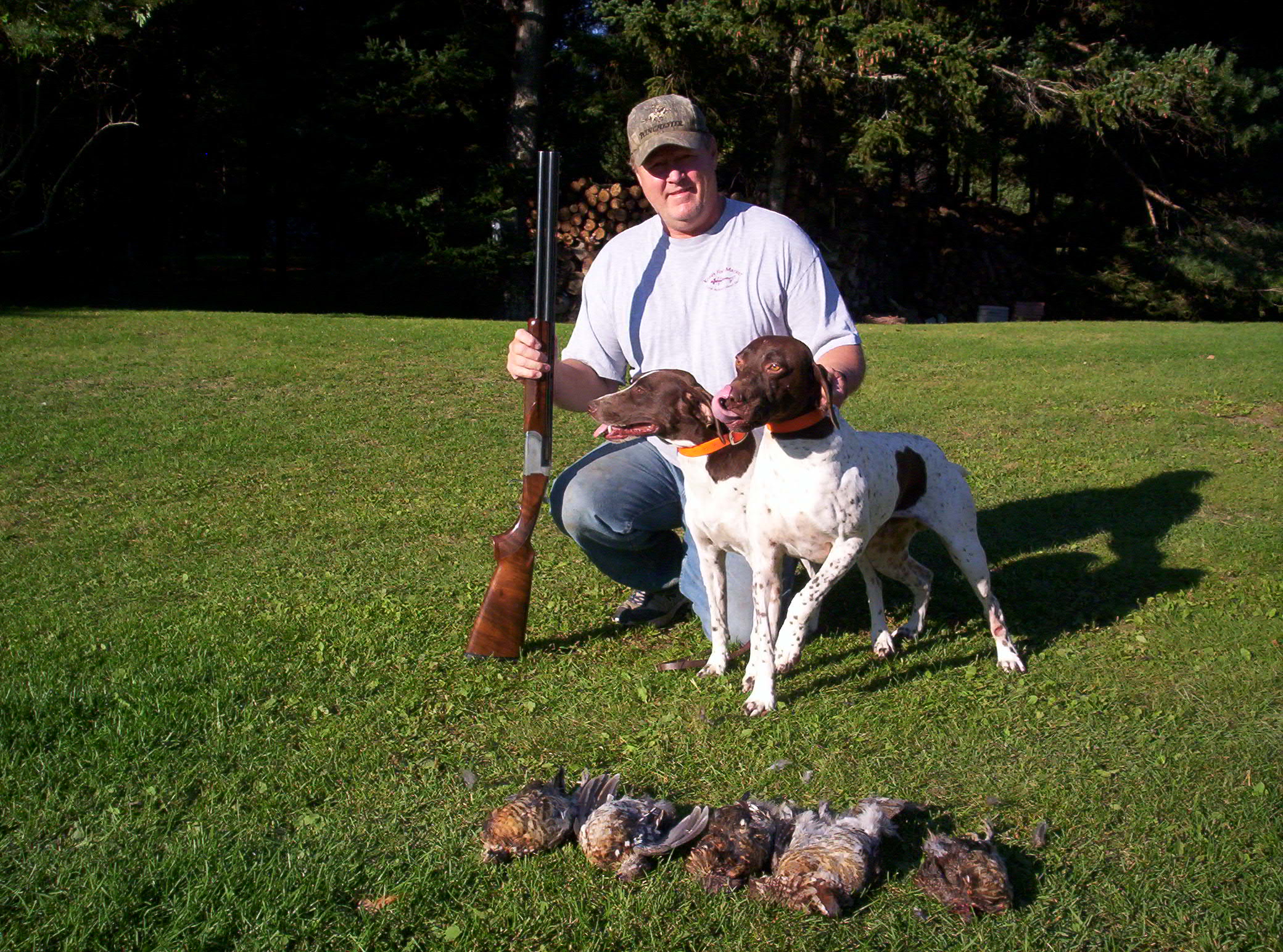 Michigan Grouse