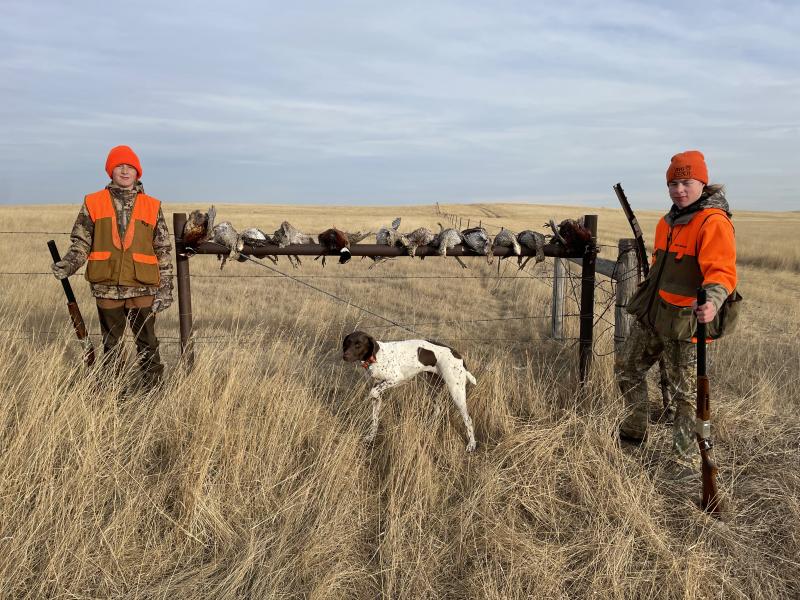 Hogan and Colt with Birds 