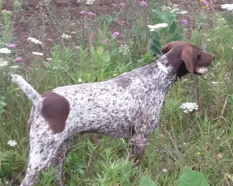 Mitzi